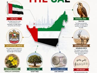List of National Symbols of the UAE Explained with Meanings and Pictures