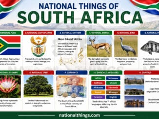National Symbols of South Africa