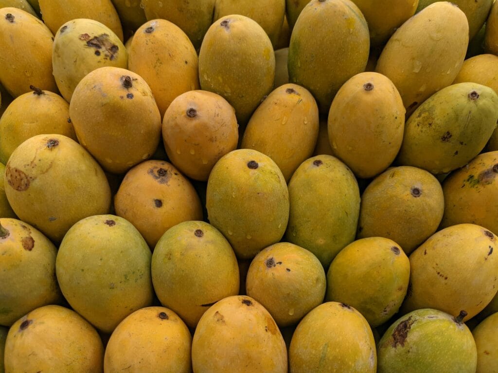 Mango National Fruit
