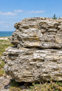 Estonia's National Stone — Limestone